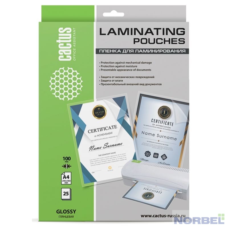 Cactus плёнка для ламинирования Пленка для ламинирования 100мкм A4 25шт глянцевая 216 x 303мм CS-LPGA410025