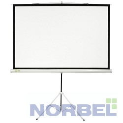 Cactus Экран Triscreen CS-PST-104x186 104.4 x 186см 1:1 напольный рулонный белый