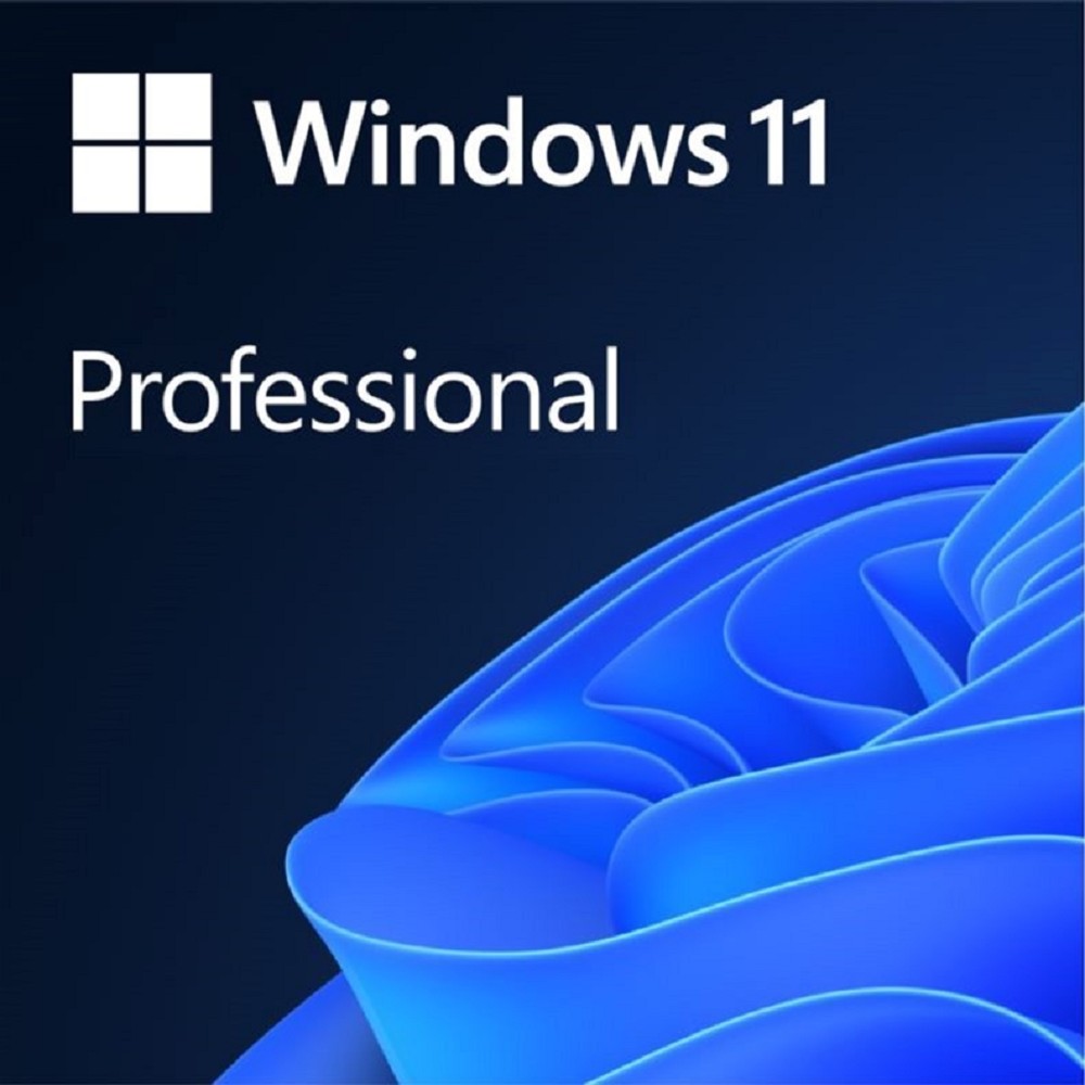 Microsoft Неисключительное право на использование ПО Windows 11 FQC-10529 Professional English 64-bit