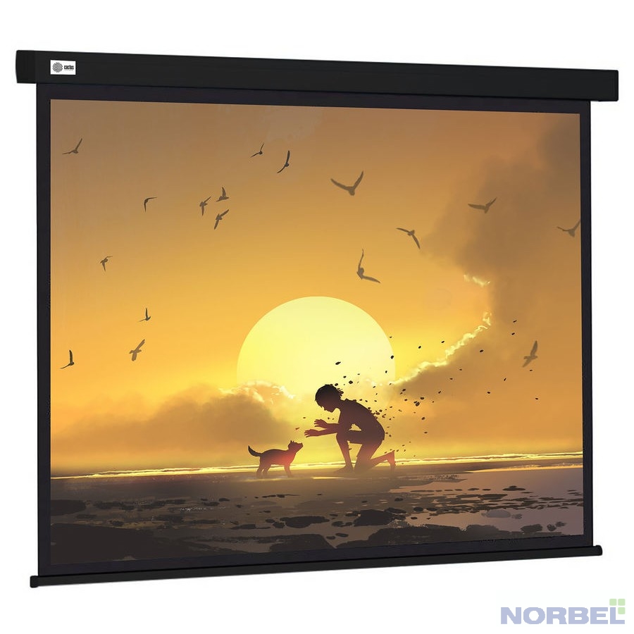 Cactus Экран Wallscreen CS-PSW-150X150-BK 150х150см 1:1 настенно-потолочный рулонный черный